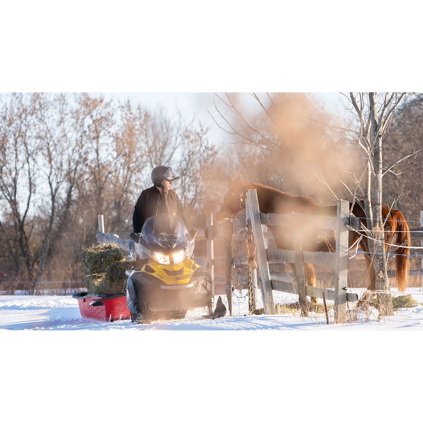 Trek Sport 94 Utility Sled With Runners. Tow Hitch & Travel Cover 5 Trek Sport 94 Utility Sled With Runners. Tow Hitch & Travel Cover - Image 3