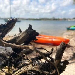 Pelican Sport Pulse 100X With Paddle Kayak 23 Pelican Sport Pulse 100X With Paddle Kayak -Paddle Board Shop KOS10P102 00 LS4