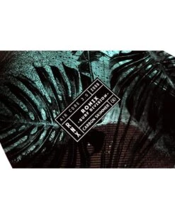 2024 Ronix Carbon Air Core 3: The Skimmer Alt Wakesurfer 10 2024 Ronix Carbon Air Core 3: The Skimmer Alt Wakesurfer -Paddle Board Shop ronix carbon skimmer womens wakesurfer feature base 2021