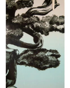 2024 Ronix Supreme: Air Core 3 Wakeboard -Paddle Board Shop ronix supreme mens wakeboard 2024 feature 2