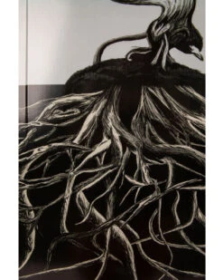 2024 Ronix Supreme: Air Core 3 Wakeboard -Paddle Board Shop ronix supreme mens wakeboard 2024 feature 3